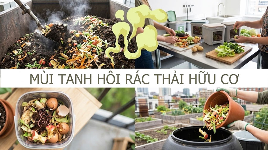 Hình ảnh mùi hôi tanh rác thải hữu cơ